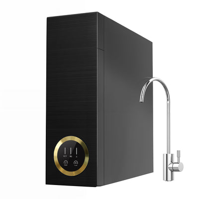 Osmoseanlage 800 GPD für Wasseraufbereitung Zuhause